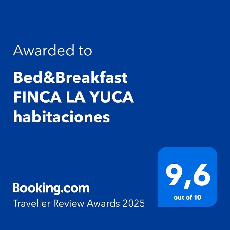 Bed & Breakfast La Yuca Ontinyent
